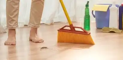 Domestic cleaning product example